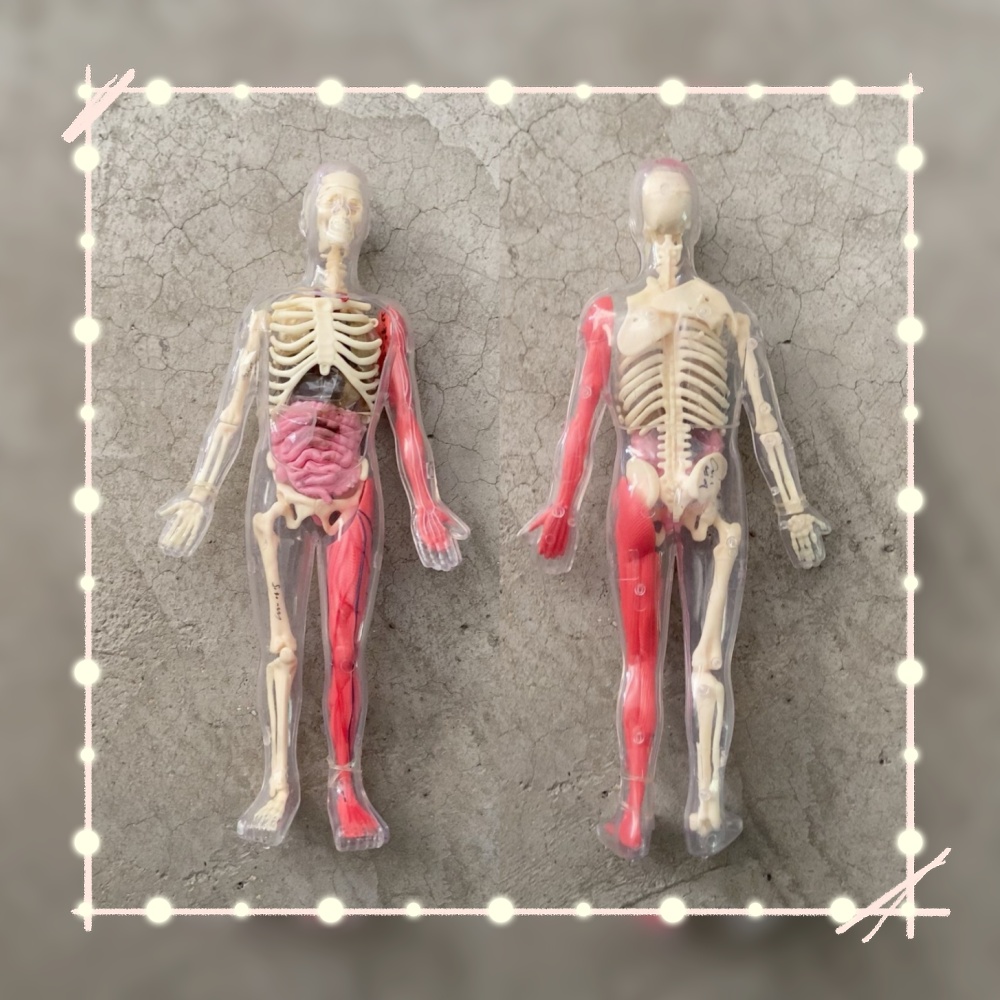 Human Body Puzzle - 재고 있음 기본 결함 있음 오리지널